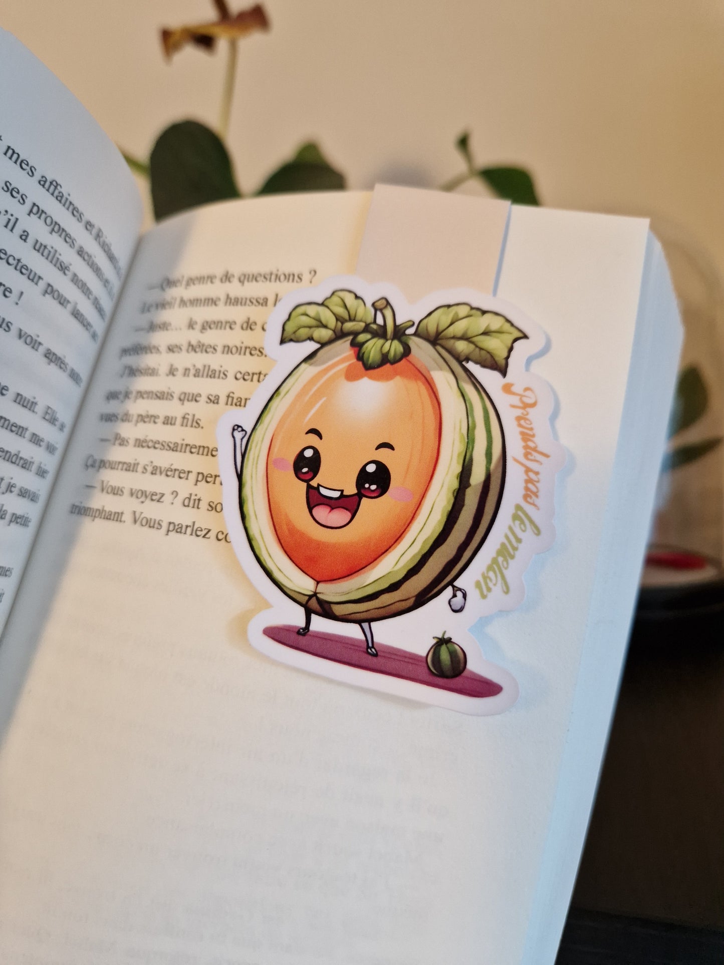 Marque-page Magnétique Melon