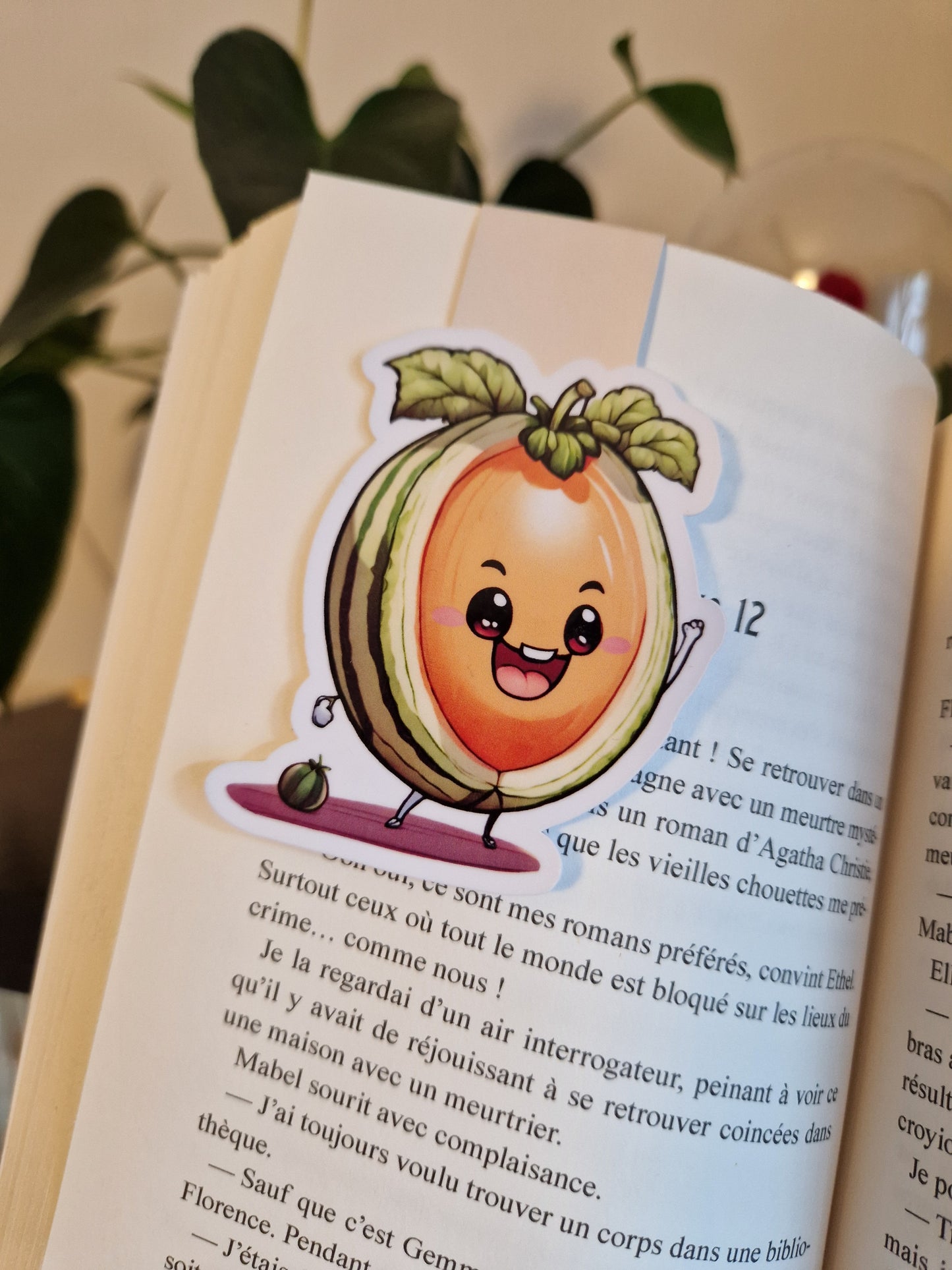 Marque-page Magnétique Melon