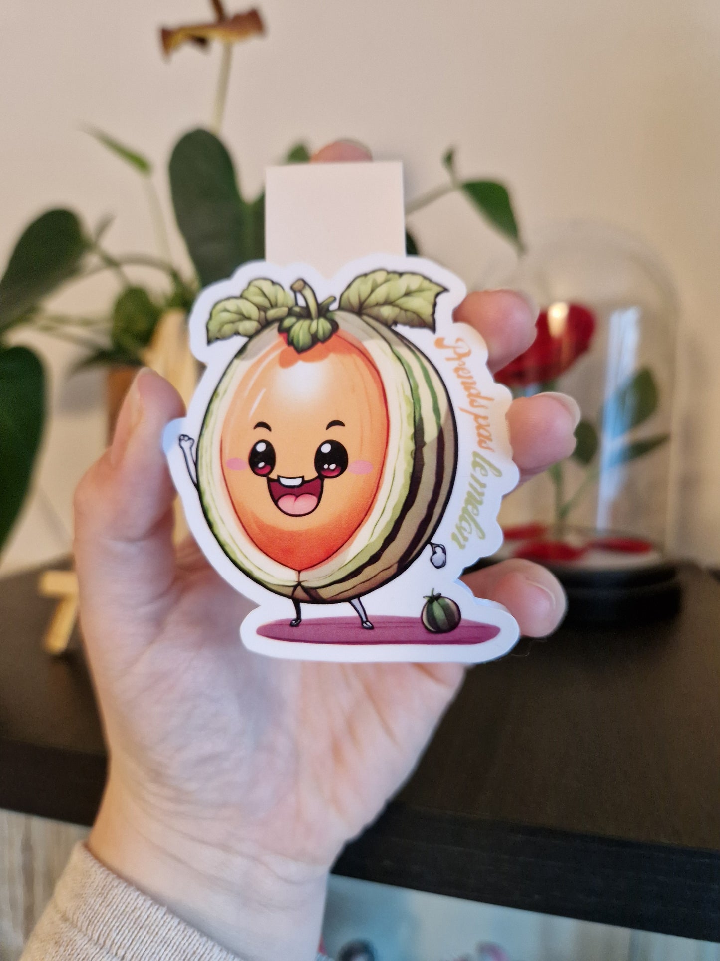 Marque-page Magnétique Melon